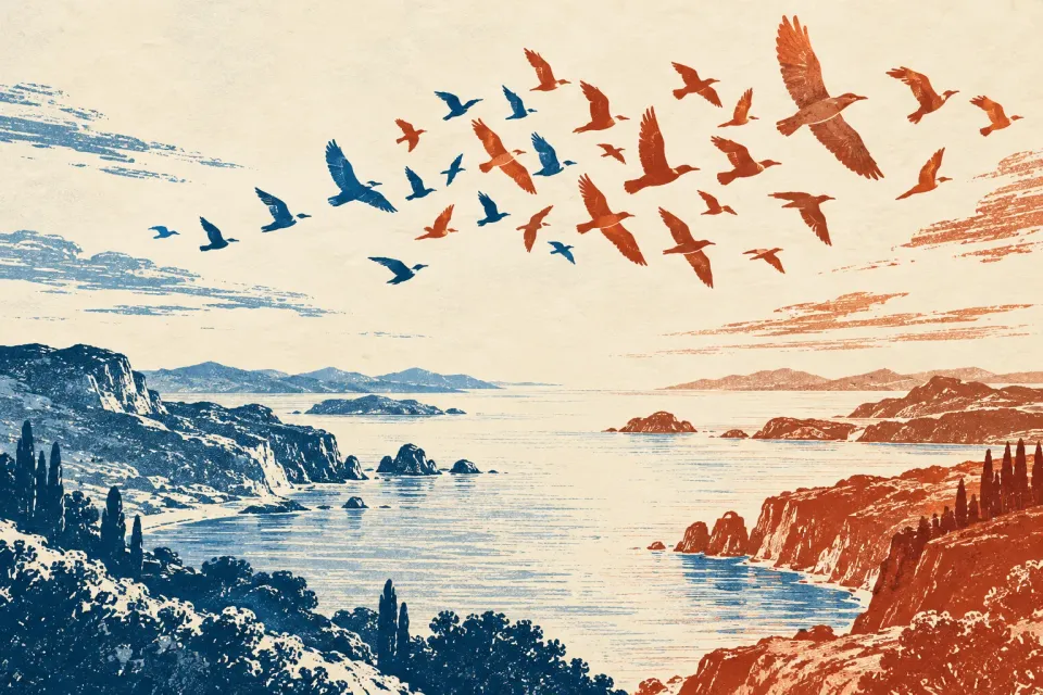 Editorial illustration: Blue and terracotta birds gather in a mixed flock above two stylized coastal landscapes.